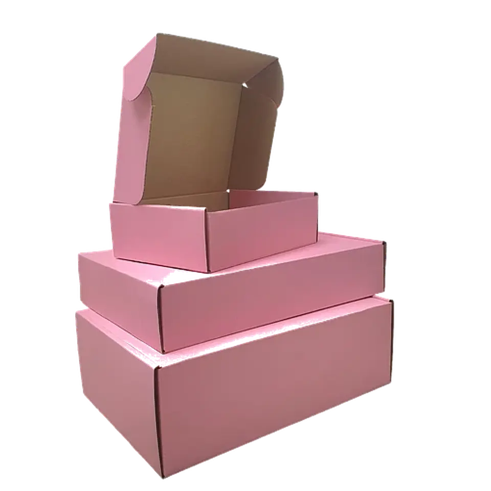Caja autoarmable 20X14X6 rosa