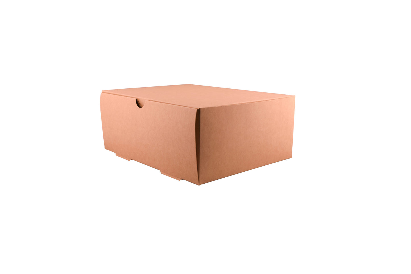 THEBOX DELIVERY 3500A (4900ml) (20x25x10)