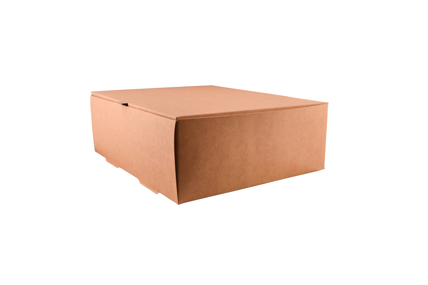 THEBOX Delivery 5200 A (7500ml) (25x30x10)